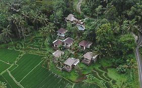 Tirta Sari